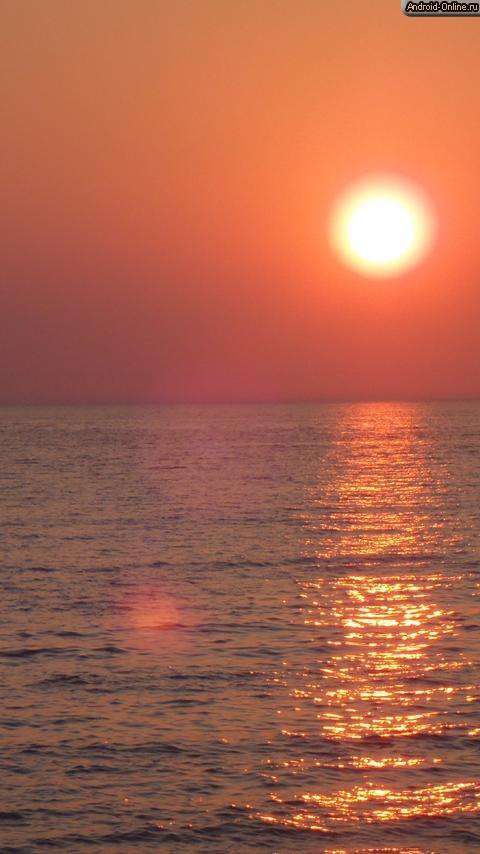 Снимок экрана dolphin-sunset-live-wallpaper